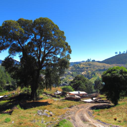 Obtén información y procedimientos sobre juicios de alimentos en Quito