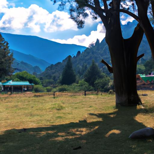 Fechas y detalles de la Feria de Carros en Quito