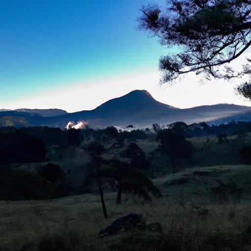 Compra lanas al por mayor en Quito: ¡descubre las mejores opciones!