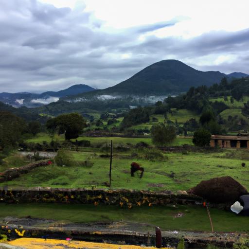 Pruebas de ADN gratuitas en Quito: todo lo que necesitas saber