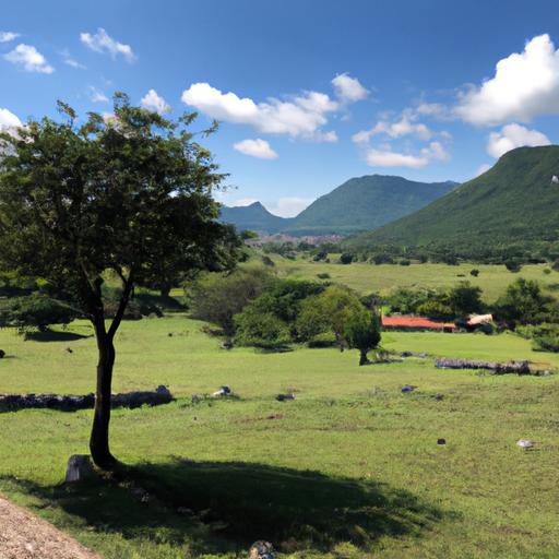 Formación completa para ser tripulante de cabina en Quito