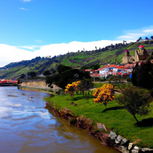 Repuestos de lavadoras Samsung en Quito: la solución perfecta para tu electrodoméstico
