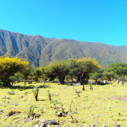 Terrenos en venta en Los Chillos, Quito: ¡Aprovecha esta oportunidad!