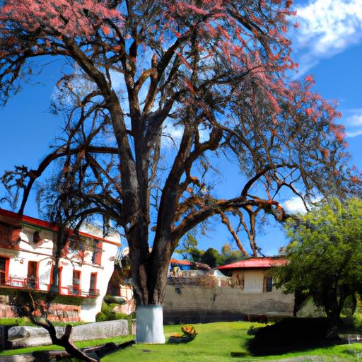Cursos de cocina básica en Quito: aprende deliciosas recetas y técnicas tradicionales
